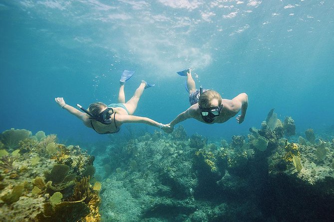 Half Day Private Boat Charter at Grace Bay, Providenciales - Snorkeling the TCI barrier reef