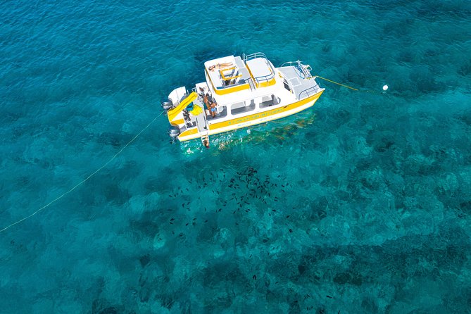 Half Day Private Boat Charter at Grace Bay, Providenciales - Price, group size, and the detail to clarify