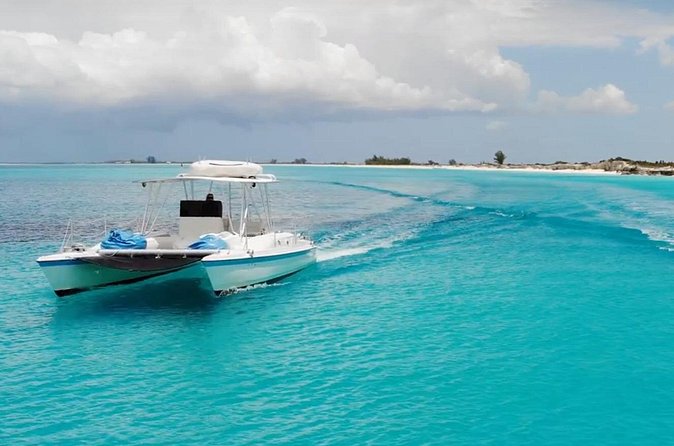 Half Day Private Charter of the Caicos Cays - Fort George, sand dollars, and a little island history