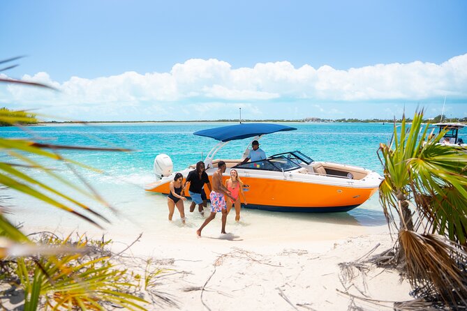 Half Day Private Sun and Snorkel exploring the Turks and Caicos - Iguana Island and local wildlife