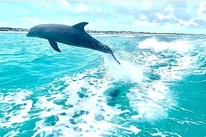 Half Day Snorkel from Providenciales with Visit to Half Moon Bay - Setting out from Grace Bay