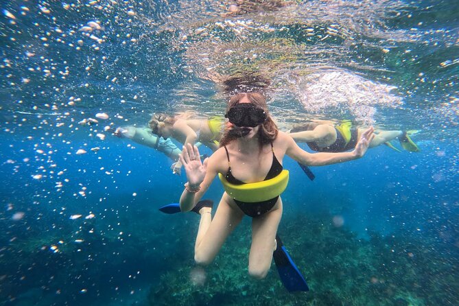 Half Day Snorkel from Providenciales with Visit to Half Moon Bay - How the crew handles safety and comfort