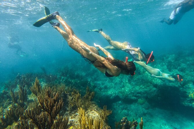 Half Day Snorkel from Providenciales with Visit to Half Moon Bay - Who will enjoy this half-day boat trip?
