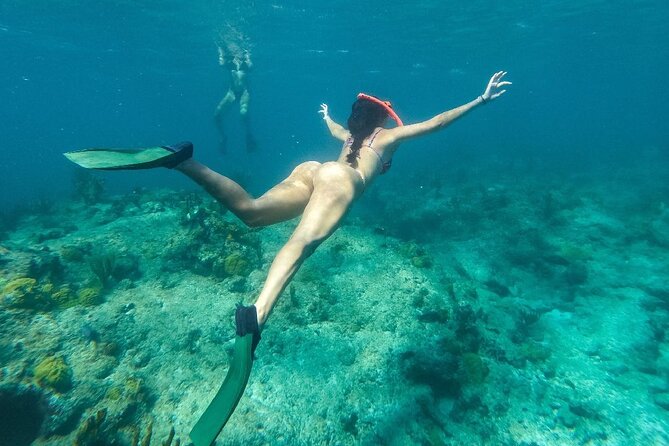 Half Day Snorkel from Providenciales with Visit to Half Moon Bay - What snorkeling at Leeward Reef is like