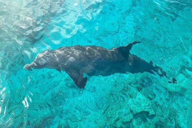 Half Day Snorkeling, Sightseeing & Island Hopping Private Charter - Who should book this outing?