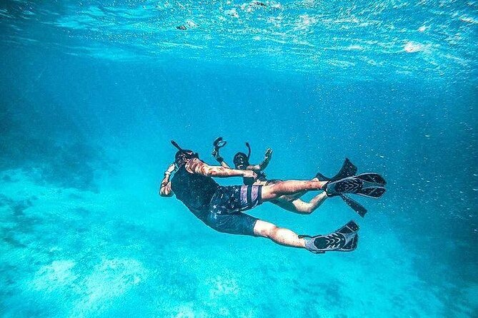 Half Day Snorkeling, Sightseeing & Island Hopping Private Charter (Afternoon) - Pine Cay for sand and snorkeling