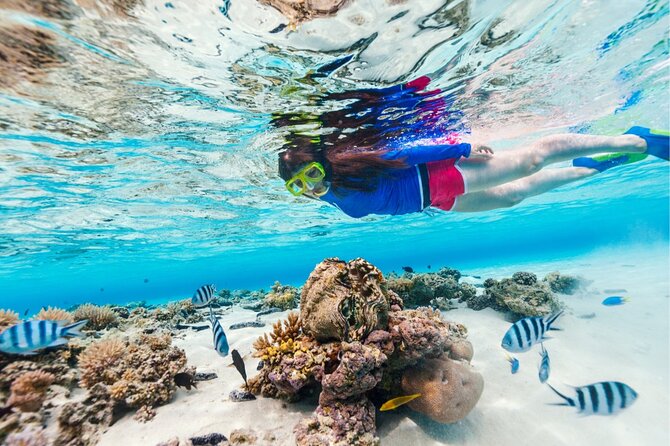 Half Moon Bay Jet Ski Tour & Snorkeling the La Famille Shipwreck - A guide-led ride, not a free-for-all