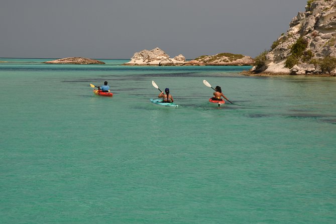 Kayak Eco Tour - Why these Providenciales mangroves matter