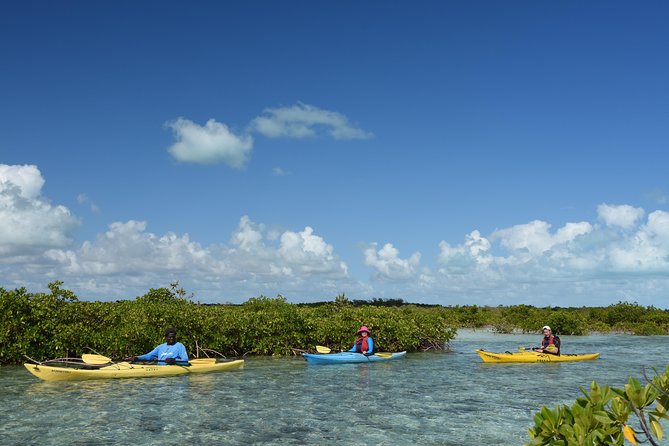Kayak Eco Tour - Getting comfortable in the kayak