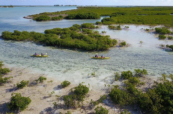 Kayak Eco Tour - Walking, swimming, and the beach stop