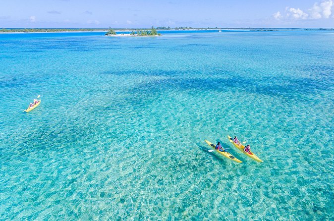 Kayak Eco Tour - What the $296 price includes