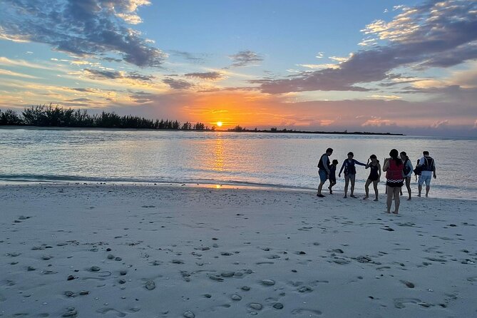 Land and Sea Adventure Tour in Providenciales - Exploring Water Cay and the Iguana Sanctuary Area