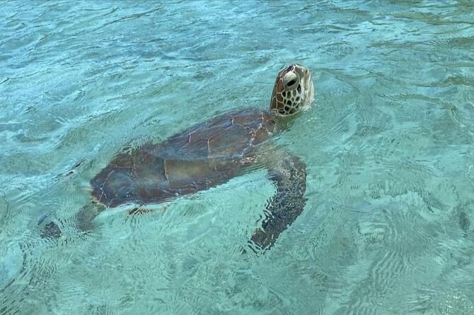 Let me take you to Caicos Jetski safari Private Tour - Starting at Long Bay Beach Access #2