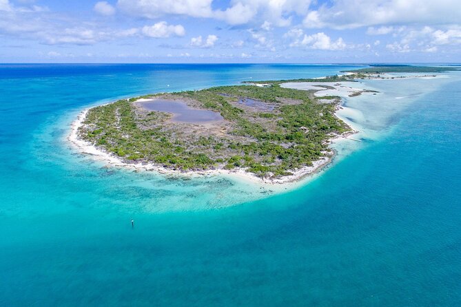 Mangrove Cay and Iguana Island Tours - Key things to know before you book