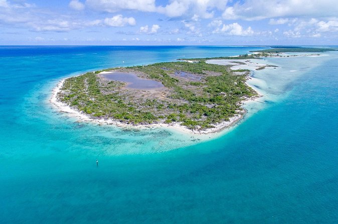Mangrove Cay and Iguana Island Tours - Guides make the difference