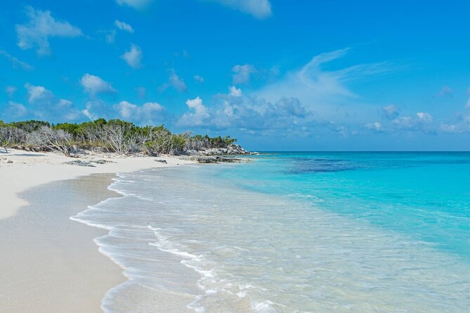 Mangrove Cay and Iguana Island Tours - What to pack for the water