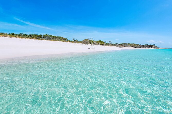 Mangrove Cay and Iguana Island Tours - Who will enjoy this most?