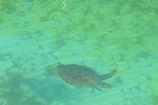 Mangrove Cay And Iguana Island Venture In Turks And Caicos Island - Timing, Pickup, And The Finish At Emerald Beach