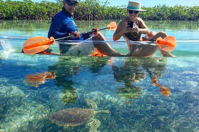 Mangrove Cay Tour - A possible sandbar or nearby island stop