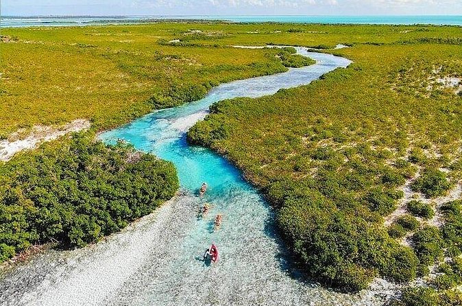Mangrove Cay Tour - What the $130 price gets you
