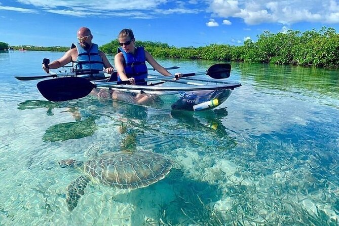 Mangrove Cay Tour - Getting from your hotel to the mangroves