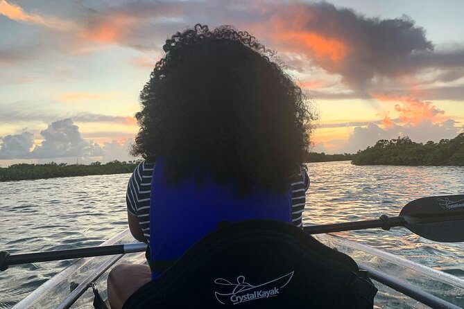Mangrove Clear Kayak Tour - What the Mangrove Cay route is really like