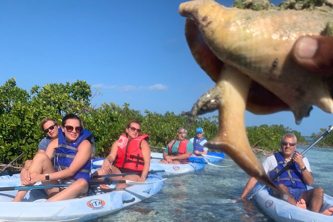 Mangroves Kayak Tour - The role of tide, wind, and timing