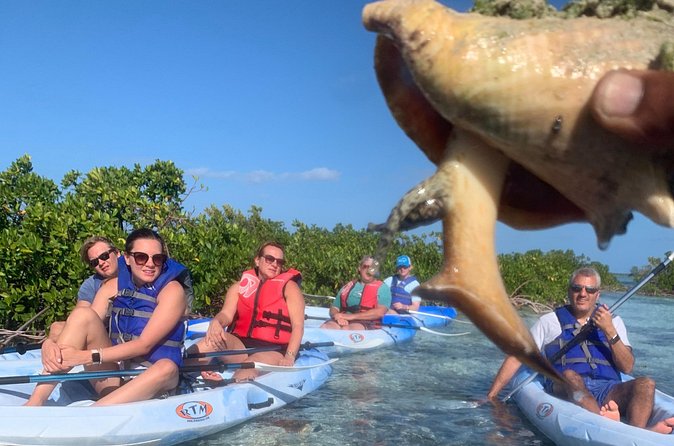 Mangroves Kayak Tour - What can go wrong, and how to reduce the risk