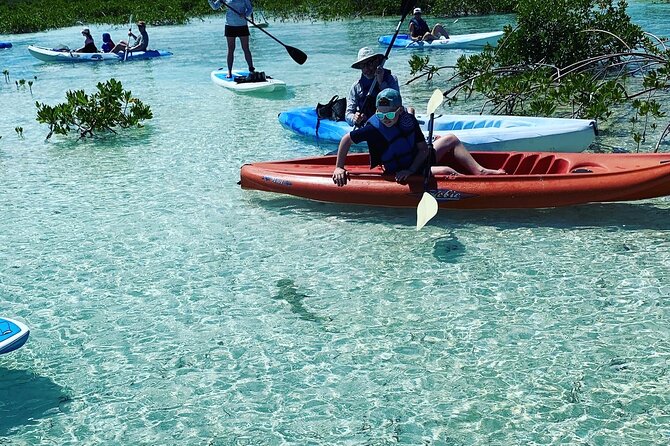 Mangroves Kayak Tour - Starting at Turks Aqua Adventures in Grace Bay
