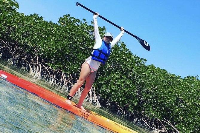 Mangroves Stand-Up Paddleboard Tour - Key Points Before You Book