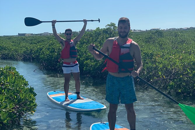 Mangroves Stand-Up Paddleboard Tour - Why the Mangrove Habitat Makes This More Than a Paddle Lesson