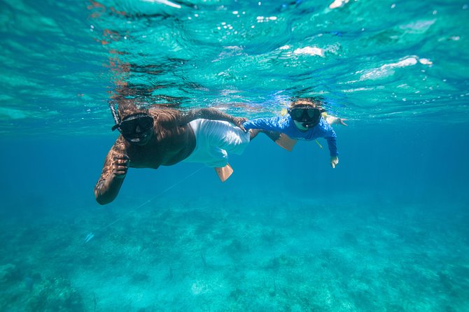 Morning Half Day Cruise from Providenciales with Snorkeling and Iguana Island - How the crew shapes the experience