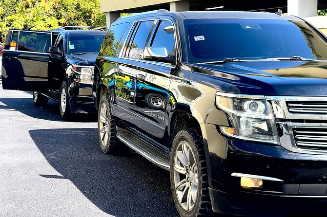 Night Life Luxury Transportation in Turks and Caicos (Round Trip) - Best uses for this Turks and Caicos transfer