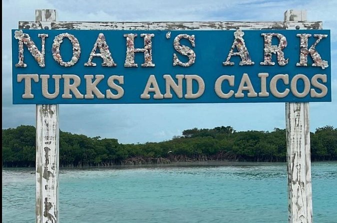 Noahs Ark Catamaran Trip - Is $115 a fair price?