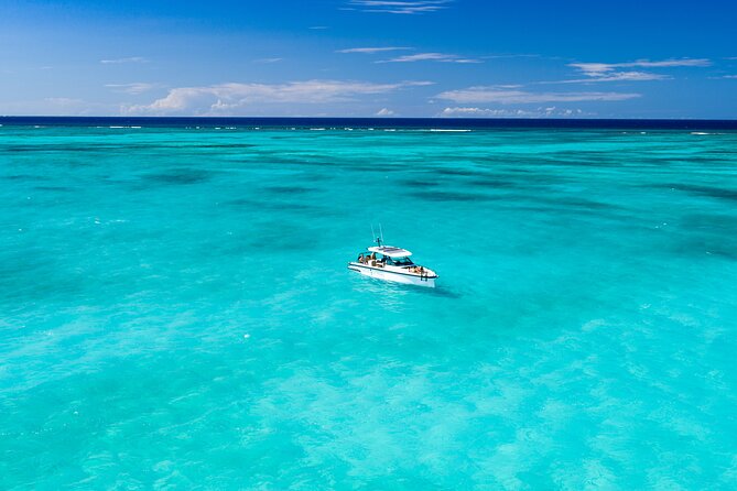 North and Middle Caicos Day Trip: Cruise, discover, explore! - Conch Bar Caves: a 45-minute look underground