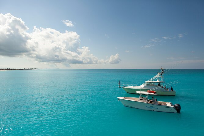 Private 1/2 Day Afternoon Bottom Fishing Charter on "Shady Grady" - Setting Out From Turtle Cove Marina at 1 p.m.