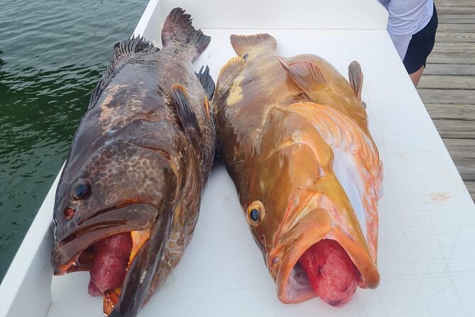 Private 1/2 Day Afternoon Bottom Fishing Charter on "Shady Grady" - Why Shady Grady Works Well for Families