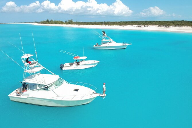 Private 1/2 Day Afternoon Charter Deep Sea Fishing on Wahooter's - What you may catch by season