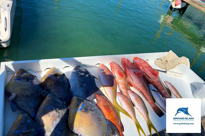 Private 3/4 Day Bottom Fishing on Serendipity - Snorkeling stops when you want a change
