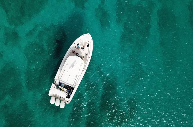 Private and Customizable Half day Boat Experience to Caicos cays - Why the private format can be worth the price