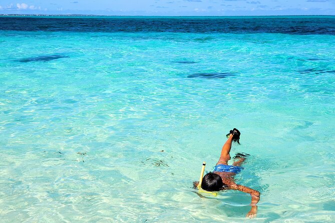 Private Boat Tour with Snorkeling, Island Hopping, and Noahs Ark - Grace Bay Beach and snorkeling near shore