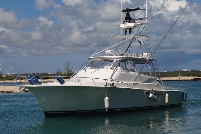 Private Deep Sea Fishing 1/2 Day morning on"Angler Management" - Key points to know before you book