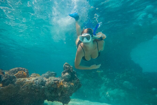 Private Half Day Luxury Snorkeling Charter - Key points to know before you book