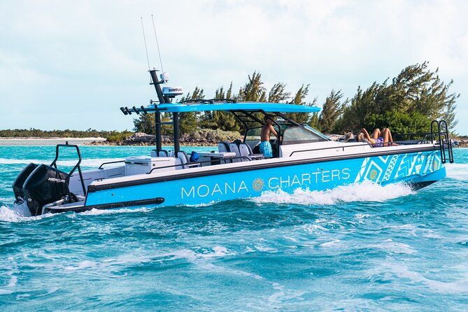 Private Half Day Luxury Snorkeling Charter - Snorkeling the Turks and Caicos barrier reef