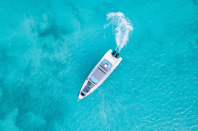 Private Half Day Luxury Snorkeling Charter - Shipwrecks, jumping spots, and underwater variety