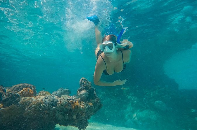 Private Half Day Luxury Snorkeling Charter - Iguana Island and other boat-only sights