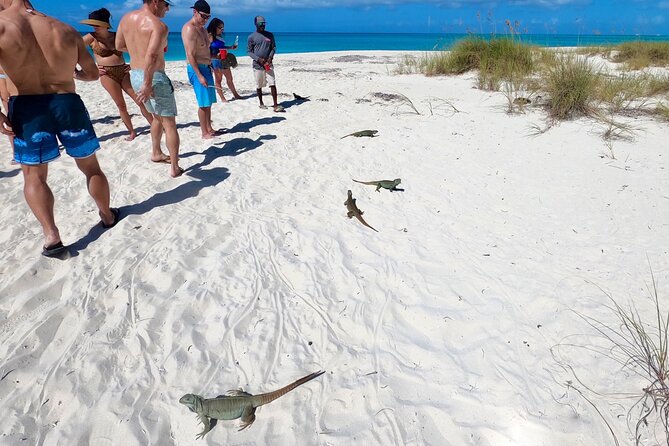 Private Reef, Beach and Sandbar Tour from Providenciales - Setting out from Grace Bay for four hours