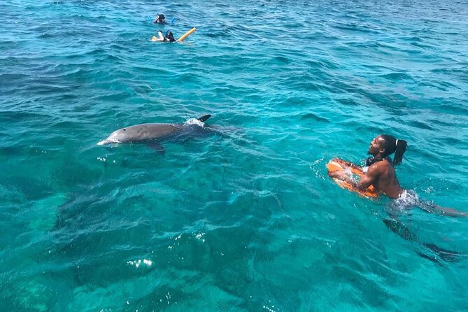 Private Reef, Beach and Sandbar Tour from Providenciales - Little Water Cay and the value of a flexible route