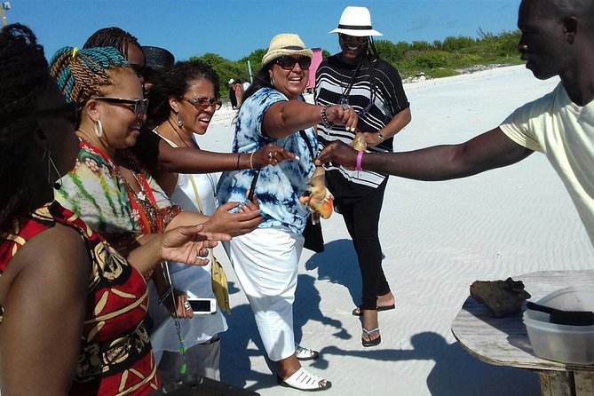 Providenciales Group Island Tour - Grace Bay: rum, shops, and an easy start