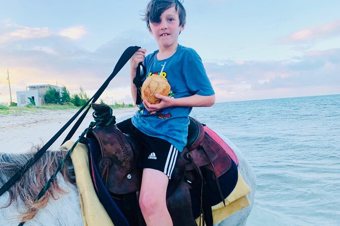 Shared Horseback Riding in Turks and Caicos - Why this works well for children and families